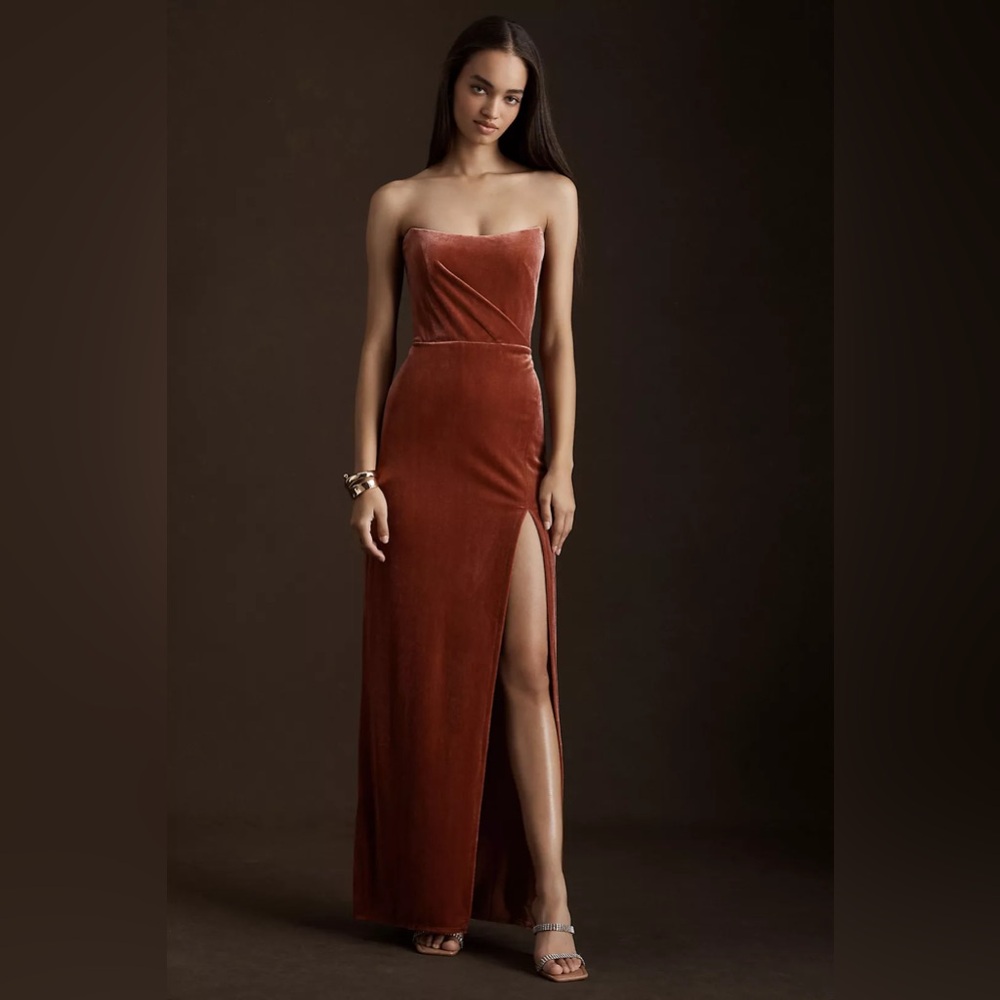 NWT Jenny Yoo Collection – English Rose Velvet Strapless Gown (Size 10)